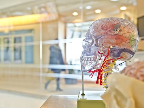 Ictus, una nuova procedura aiuta la rigenerazione dei vasi sanguigni
