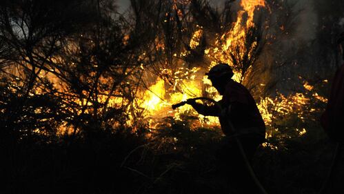 Colossale incendio in Portogallo 5