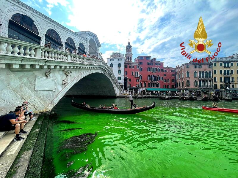 A Venezia l'acqua del Canal Grande diventa verde: le immagini 2