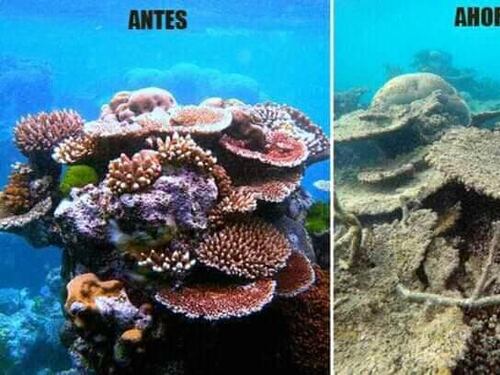 La #10yearschallenge che guarda all'ambiente: ecco com'è cambiato