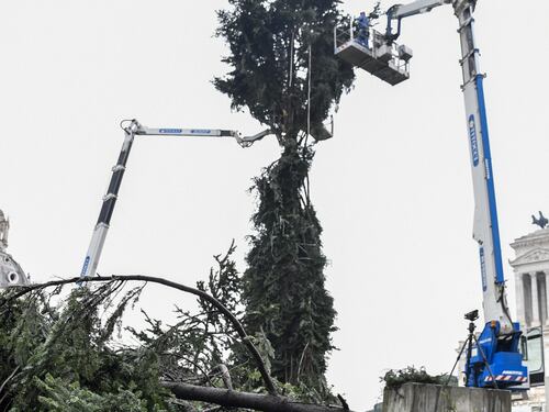 Da Spelacchio a "Spezzacchio", l'albero di Natale a Roma con i rami spezzati