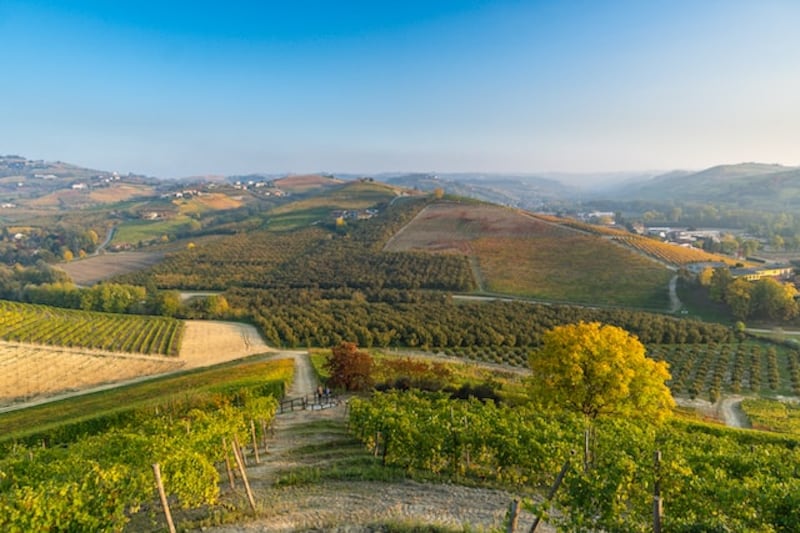Langhe in Piemonte