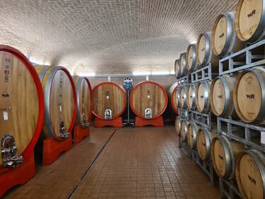 Langhe e Roero, le terre del Barolo e del Barbaresco 14