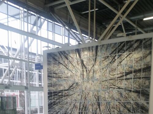 Stand monografici e performance: Arte Fiera riparte