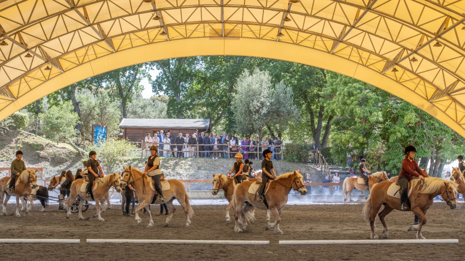 San Raffaele Viterbo celebra 40 anni di riabilitazione equestre: una storia di cura, relazione e inclusione