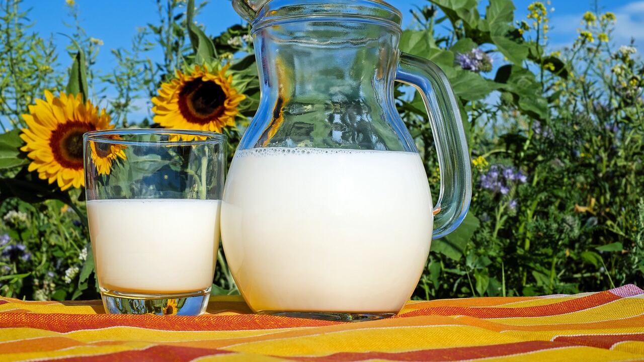 Latte "classico" o latte fermentato? Ecco quale fa bene al cuore
