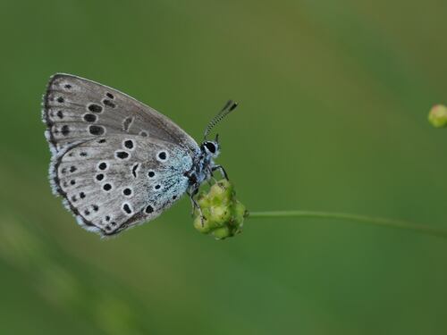 Challenge estreme: l’assurda morte di un 14enne e il vero “Butterfly Effect” dei social