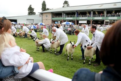 Il principe Carlo e Camilla in attesa del Royal Welsh Show 6