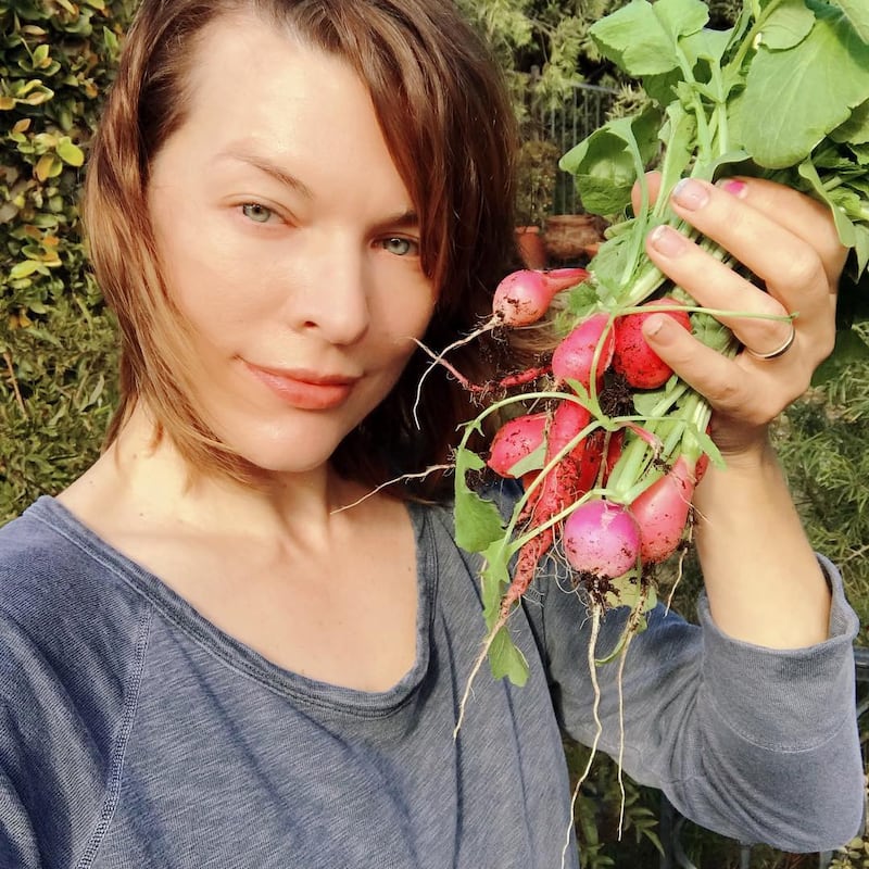 Milla Jovovich, le foto dell'attrice 1
