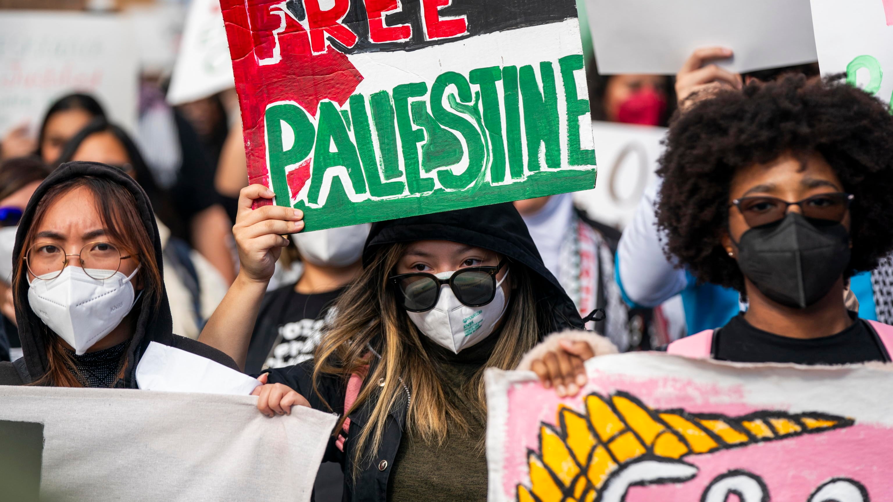 Arafat israeliano e Palestina nei Caraibi: l'ignoranza degli studenti Usa sulla guerra