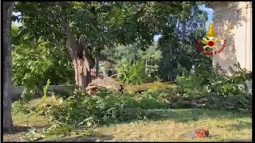Albero cade davanti alla chiesa di San Pietro a Luino: 8 feriti, di cui 2 gravi 1