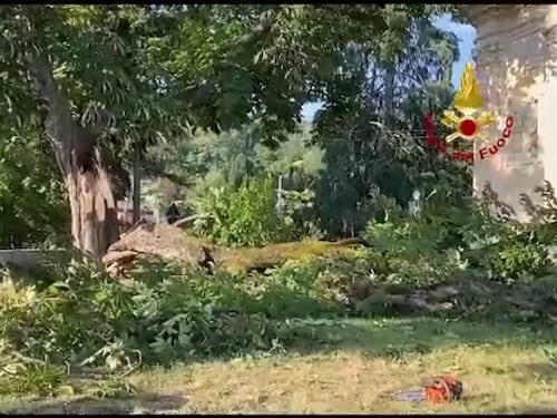 Albero cade davanti alla chiesa di San Pietro a Luino: 8 feriti, di cui 2 gravi