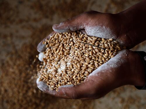 La "rappresaglia" del grano fa schizzare i prezzi