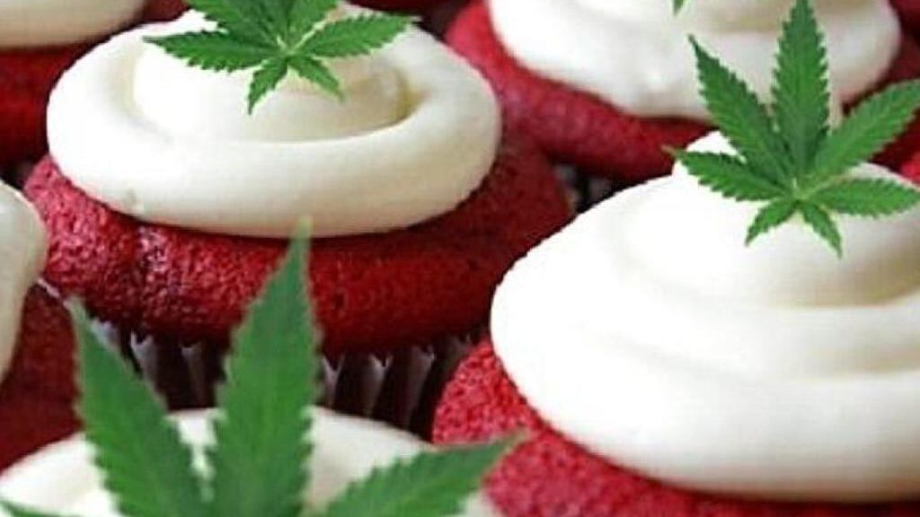 Il buffet è a base di marijuana: scandalo al Comune di Torino
