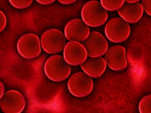 Emofilia, in Italia arriva la terapia genica
