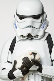 I personaggi di Star Wars per l'adozione degli animali 16