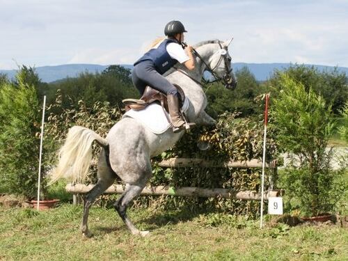 Coppa Europa di trec in Germania