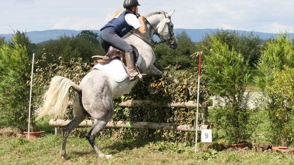 Coppa Europa di trec in Germania