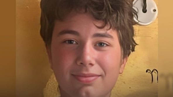 L'ansia per la scomparsa di Diego, 14 anni: "È salito su un'auto"