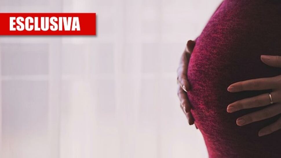 Così ora pure le femministe gay contestano maternità surrogata