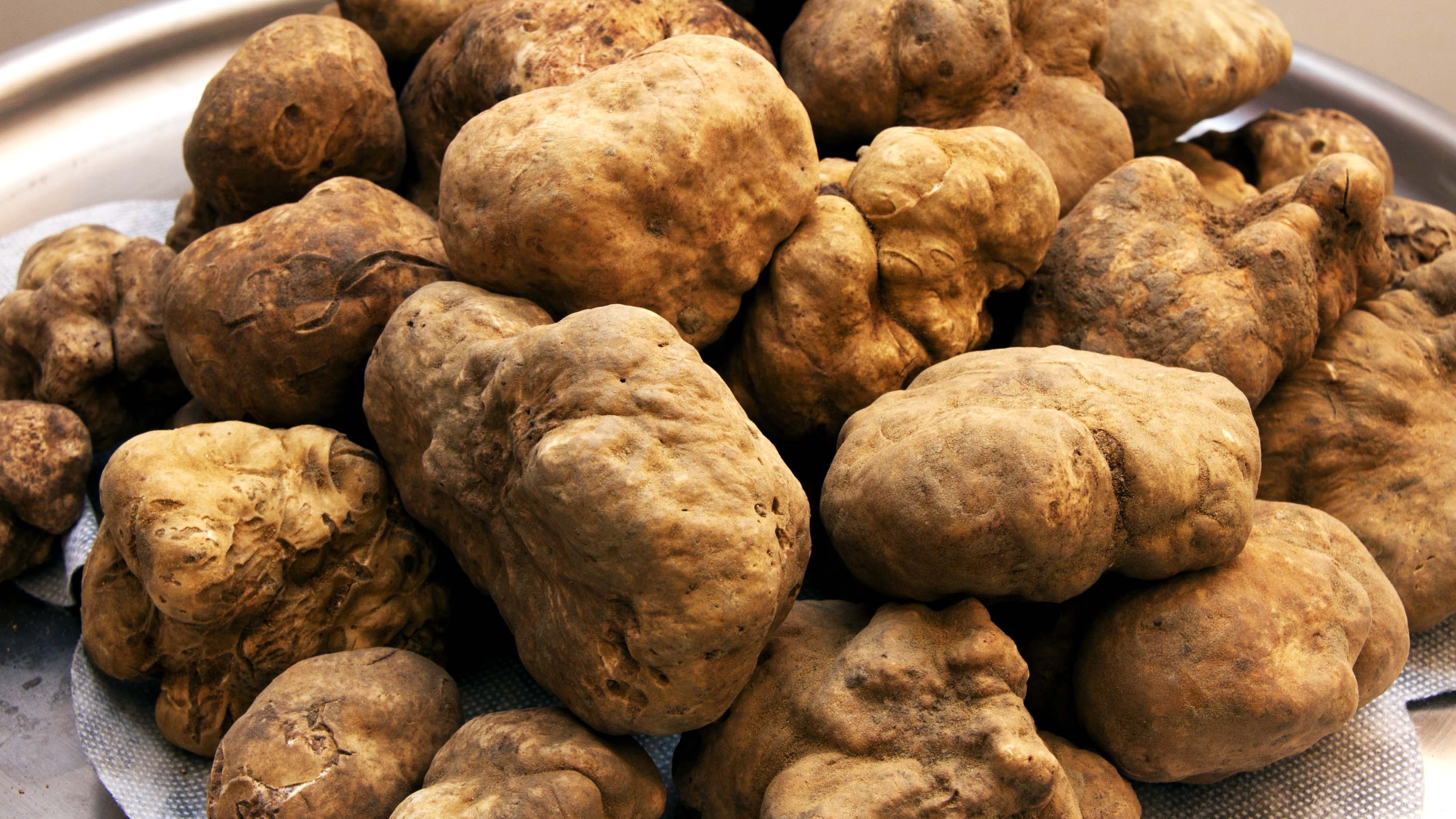 Vince alle scommesse e offre pranzo al tartufo agli amici senzatetto