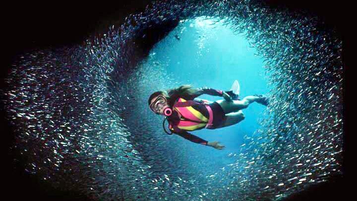 Profondo blu, il mare con gli occhi del sub all'Eudi Show
