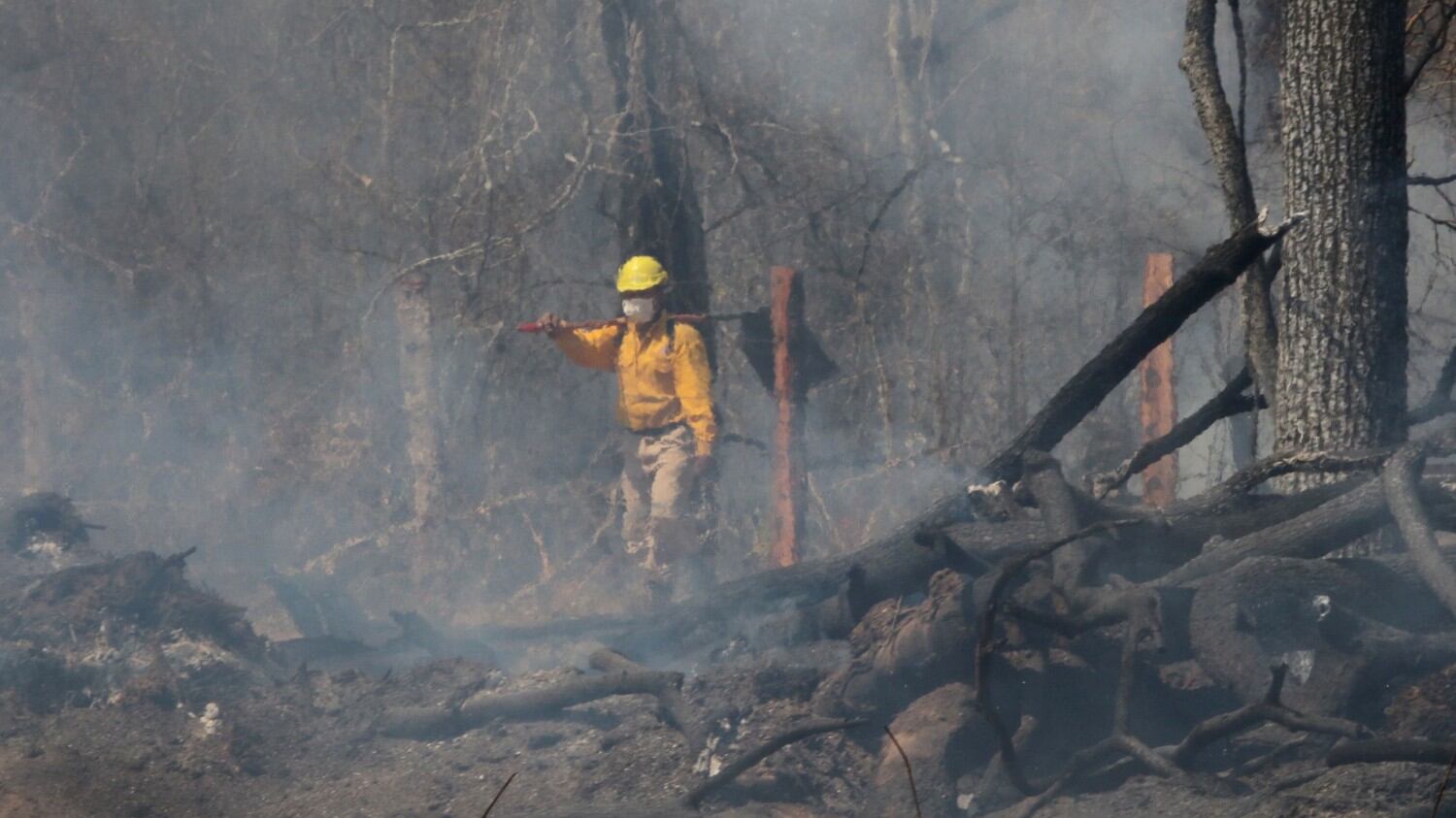 L'Amazzonia incendia il G7, Macron attacca Bolsonaro: "Ha mentito sul clima"