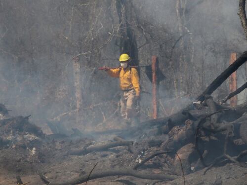 L'Amazzonia incendia il G7, Macron attacca Bolsonaro: "Ha mentito sul clima"