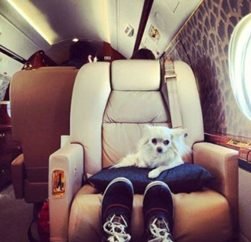 Rich Kids of England, le immagini 8