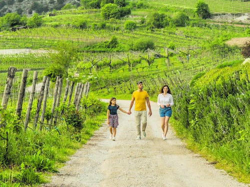 Un weekend nella Valle dei Laghi. Tra romantici vitigni e gesti pazienti