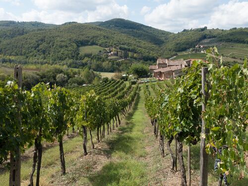 Tutti i segreti del Chianti: viaggio tra vino e cultura
