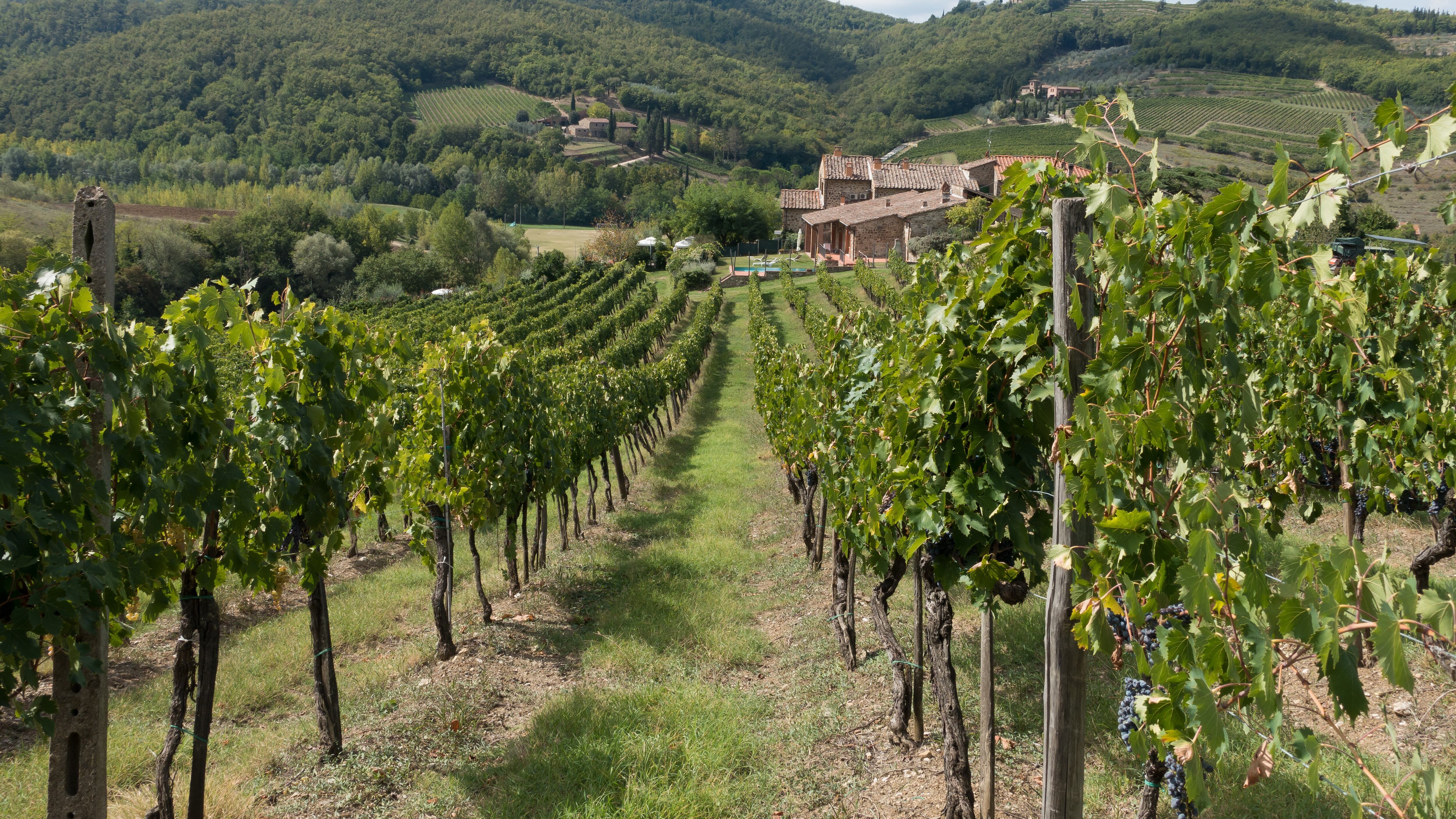 Dai rifiuti organici al biometano: cosa verrà prodotto nel Chianti