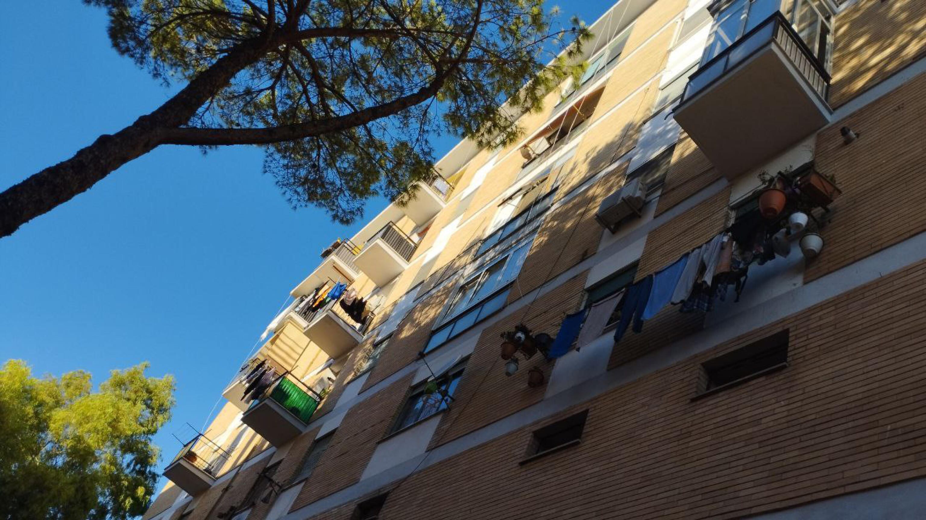 "Si è buttato lui dalla finestra": parla il barista vicino di casa di Hasib
