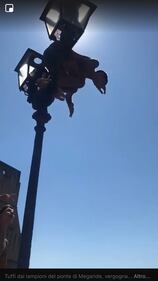 Napoli, tuffi pericolosi dai lampioni del ponte di Castel dell'Ovo 3