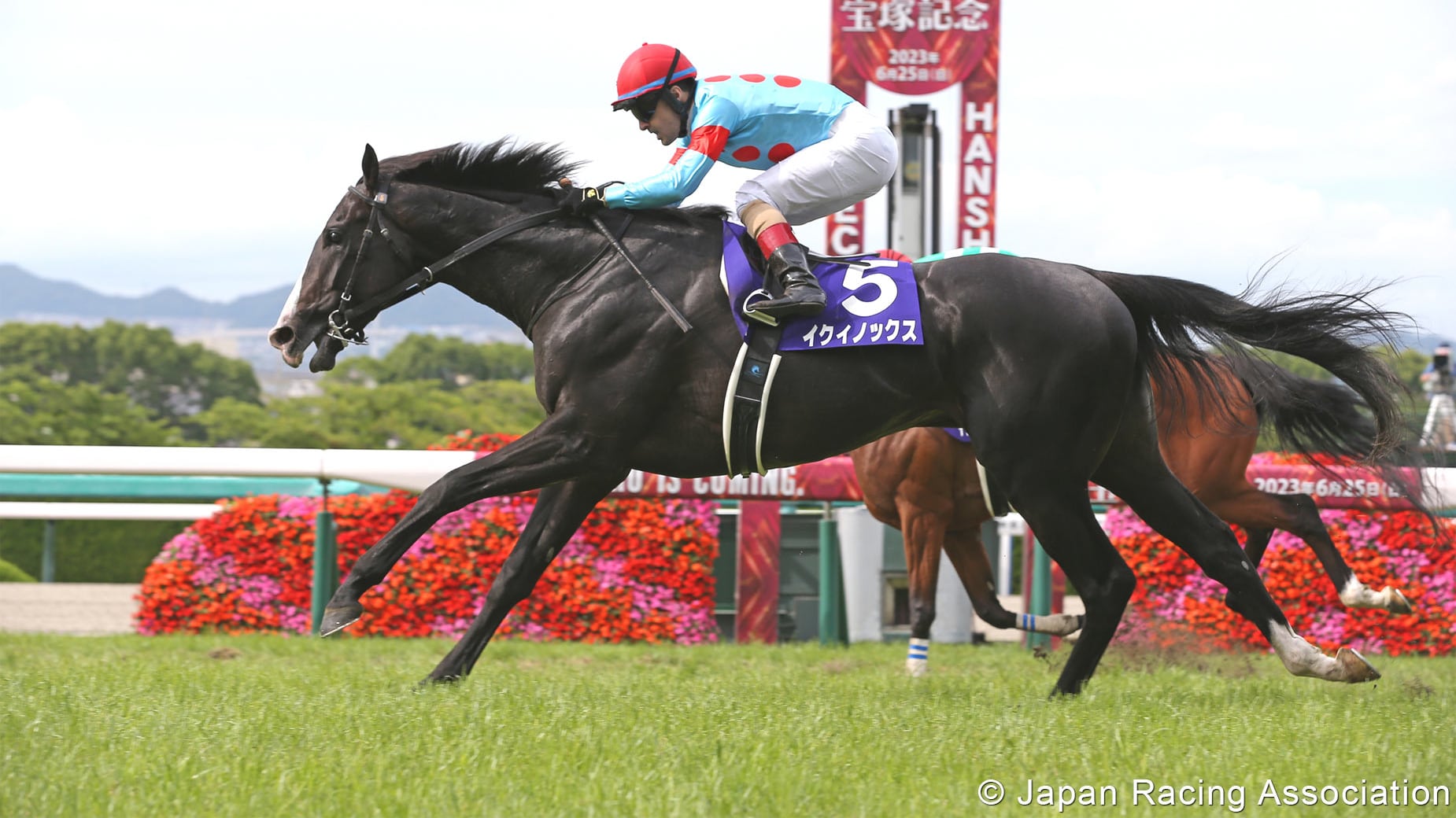 Equinox (fonte Japan Racing Association)