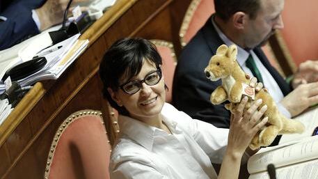 Lady Tosi detta la linea: "Flavio correrà da solo"