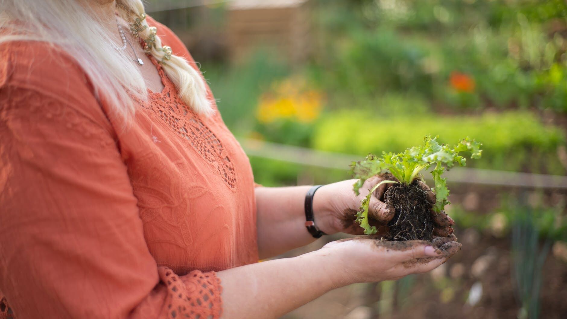 Orto in balcone: benefici e cosa coltivare in autunno
