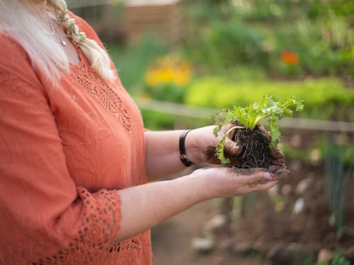 Orto in balcone: benefici e cosa coltivare in autunno