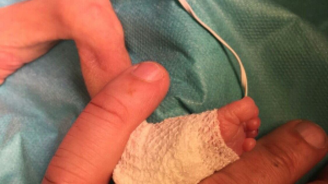 Belgio, nutrono il figlio con latte di quinoa e avena: Lucas muore a 7 mesi