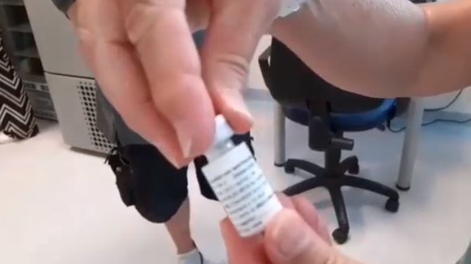 Vaccino italiano: al via dal 24 agosto i primi test sull'uomo