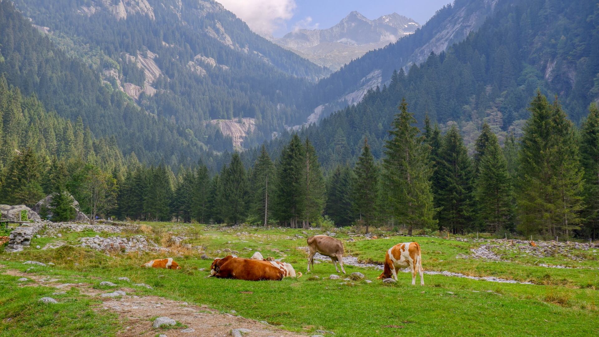 Over, passeggiare nei boschi in Lombardia, le mete più interessanti