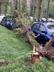 Il maltempo si accanisce sul Nord Italia: fiumi in piena, frane e smottamenti 4