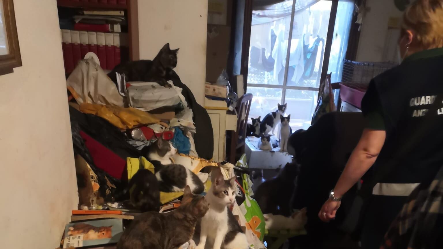 Coppia di accumulatori seriali aveva in casa immondizia e 60 animali
