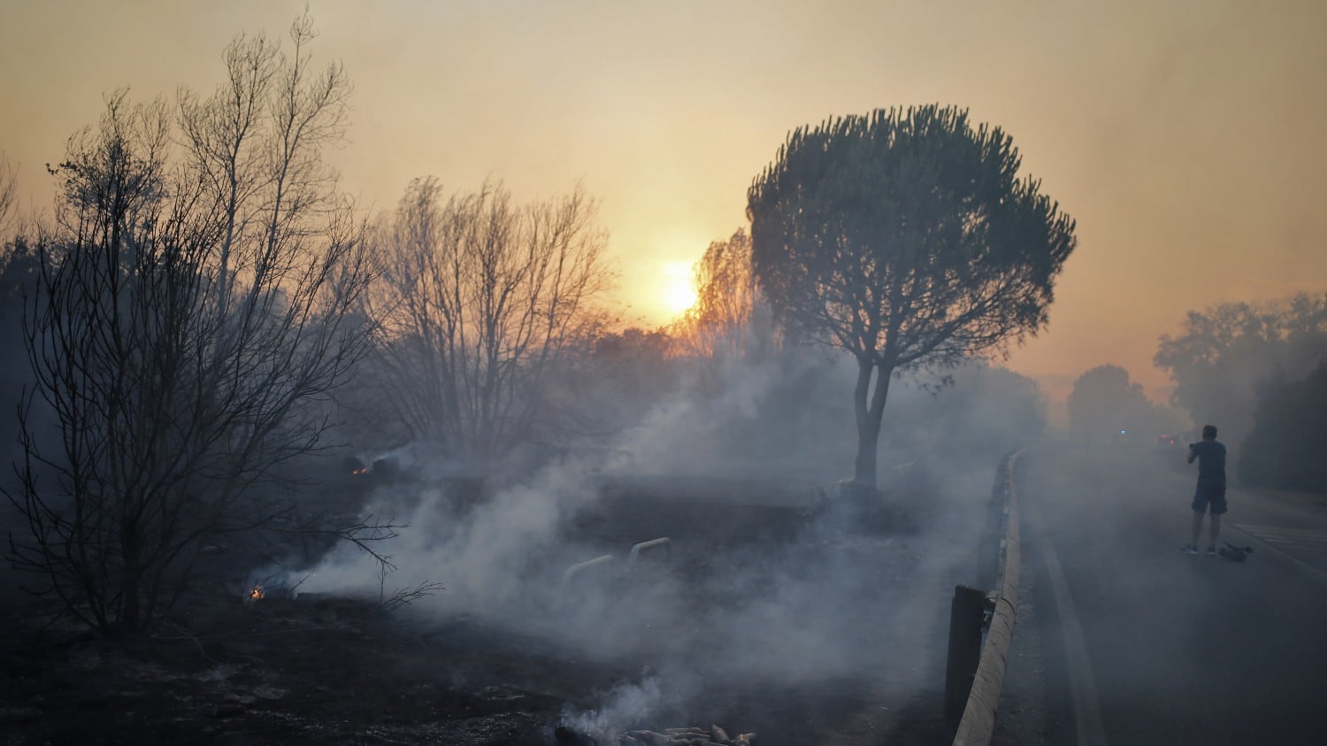 Roma, incendio alla pineta di Castel Fusano. Raggi: "Situazione gravissima"