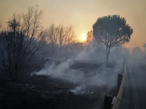 Roma, incendio alla pineta di Castel Fusano. Raggi: "Situazione gravissima"