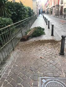 Napoli, vandali in azione a Chiaia: le immagini dei danni 5