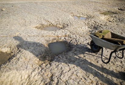 Germania, scoperte impronte giganti di dinosauro 3