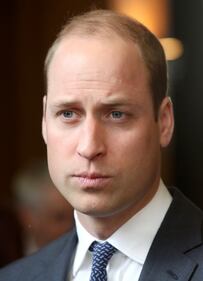Lady Gaga e il Principe William 31