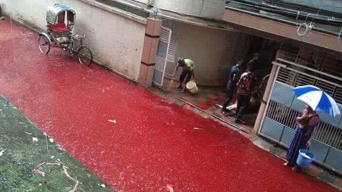 La Festa islamica del Sacrificio riempie di sangue Dhaka