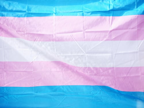 Piccoli passi di sobrietà dopo la sbornia pro trans
